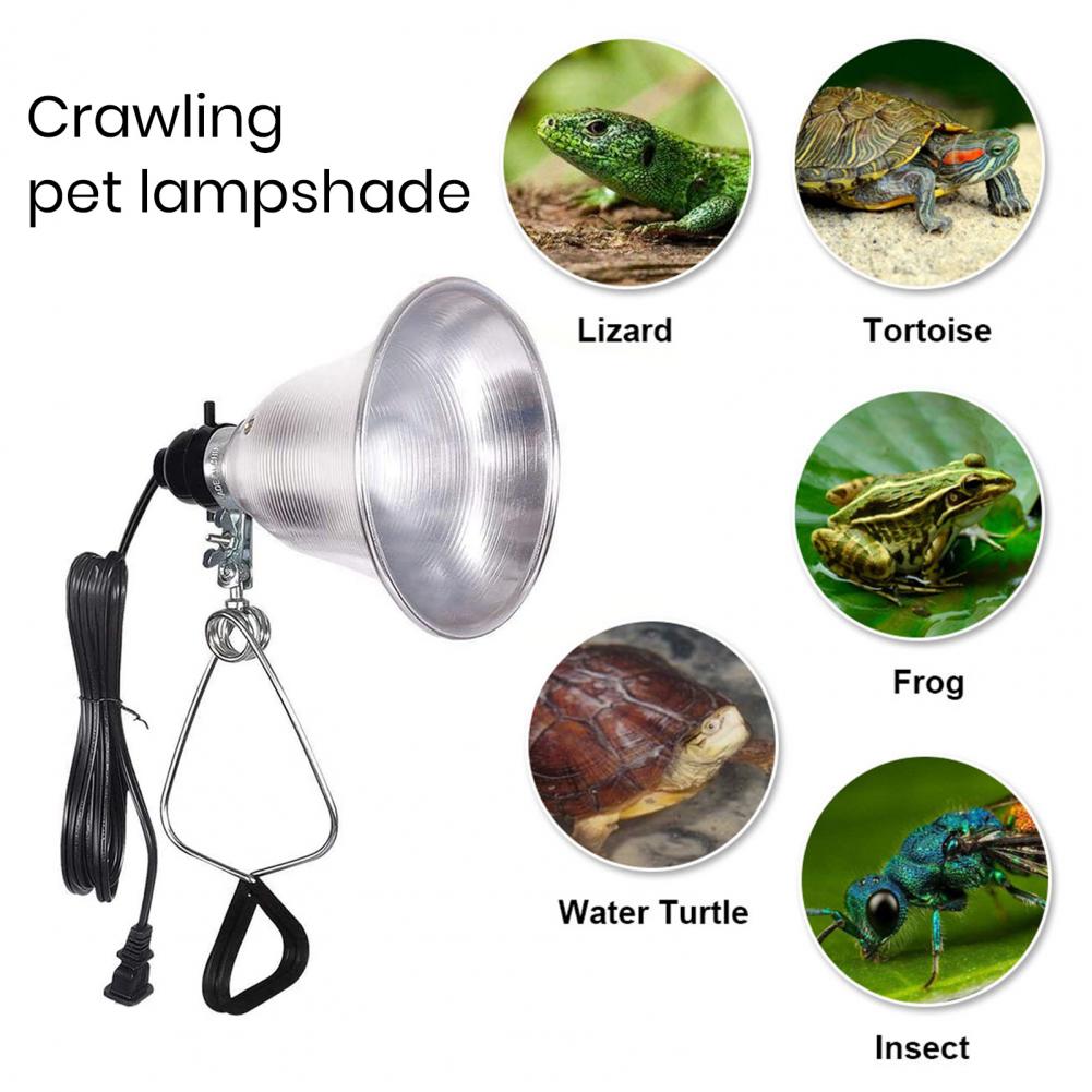 Lampenschirm für Tischlampe, F – Photography Lighting Workshops Bewertung und Preis